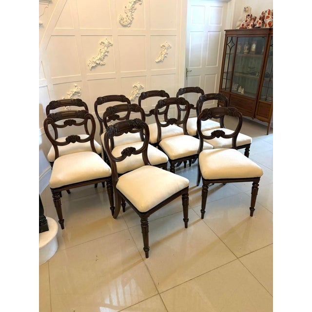 A superb antique set of 10 English Regency carved mahogany dining chairs with elegant shaped backs, finely carved scroll...
