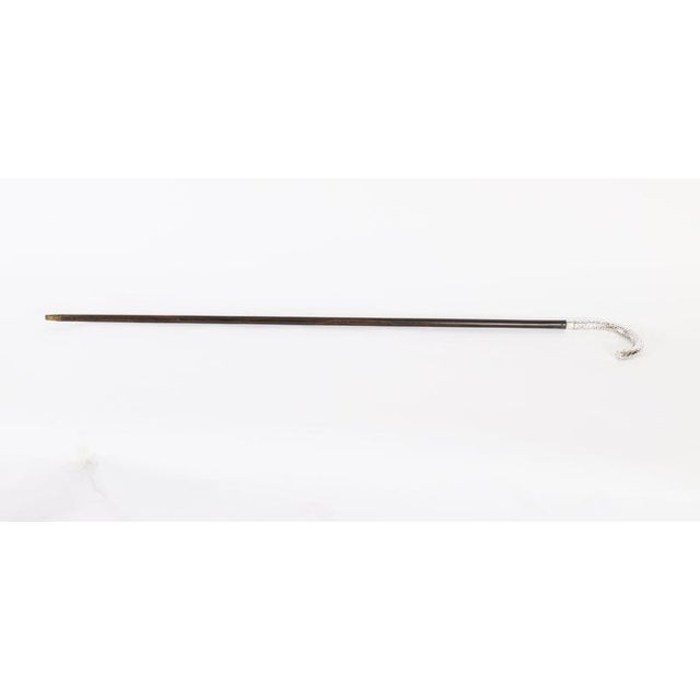 A beautiful antique French silver handled walking cane, circa 1900 in date. The silver crook shaped handle features fine...