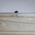 White 1970s Floor Lamp Mod. BBX3-70XN from the Akari Series by Isamu Noguchi For Sale - Image 8 of 9