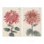 Ruby Petals Diptych – Vintage Japanese Botanical Prints (Set of 2), 16" X 24" For Sale