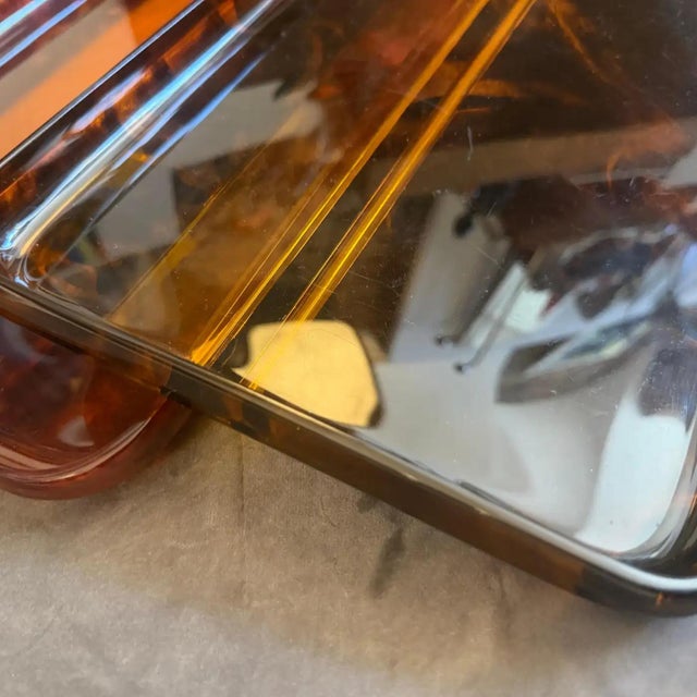 1970s Set of Two Mid-Century Modern Faux Tortoiseshell Lucite Trays by Guzzini For Sale - Image 13 of 13