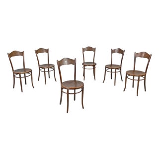 Austrian Wooden Chairs with Round Decoration from Mundus,1890s, Set of 6 For Sale
