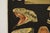 Wood Jung-Koch-Quentell German Zoological Snake Anatomy Wall Chart, C. 1960s For Sale - Image 7 of 18