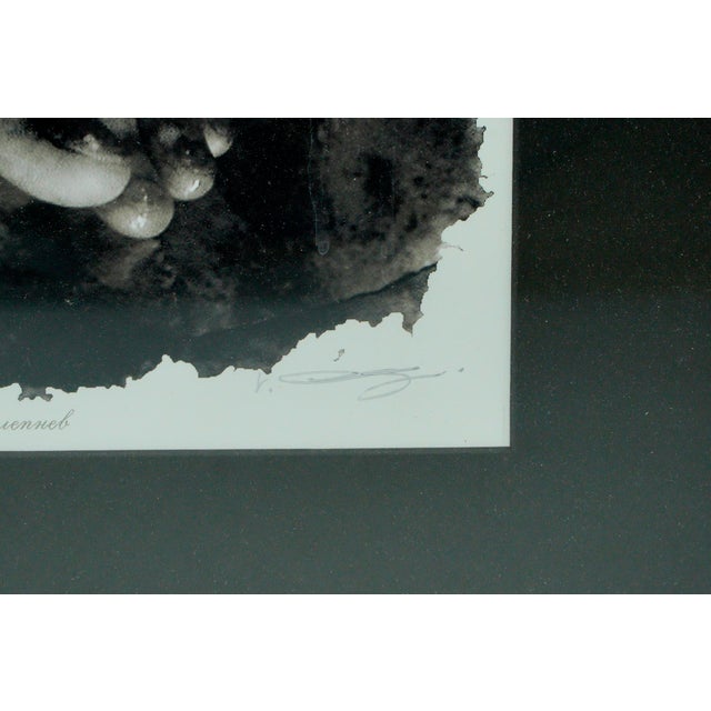 Mid 20th Century Framed Photograph of Feet Signed by Vladimir Clavijo Photographer For Sale - Image 4 of 13