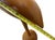 Mid-Century Modern Vintage Hand-Carved Teak Wood Crane Shorebird Sculpture – 37" For Sale In West Palm - Image 6 of 12