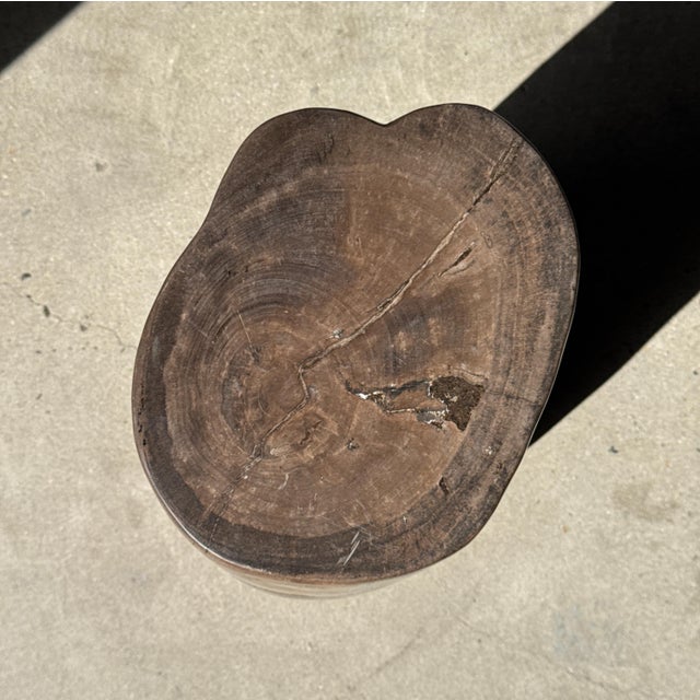 Side Table in Brown Petrified Wood, 1980s For Sale - Image 17 of 18