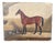 Bay Horse in a Stable, 1900s, Oil Painting on Board For Sale