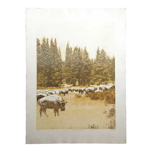 1980s Ted Thomas Realistic Etching of Buffalos Southwestern Art Print on Paper For Sale