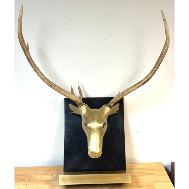 Monumental Sarreid Brass Deer Mount with Removable Antlers, Spain, 1970s For Sale - Image 17 of 17