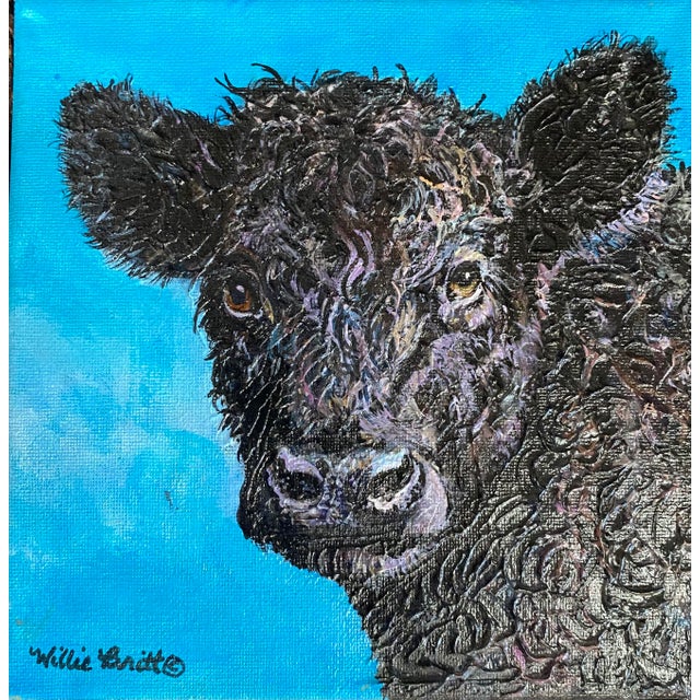 "Curly Boy" Scrappy young bull is always looking for someone to spar with. The days are spent going from friend to foe and...