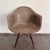 Lounge Chair with Fiberglass by Charles & Ray Eames for Herman Miller, 1950s For Sale - Image 6 of 7