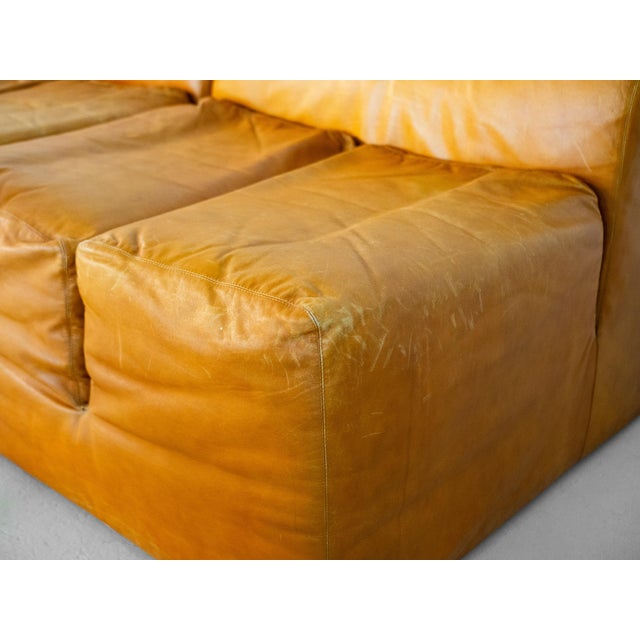 Animal Skin Ipercubo 200 Sofa for Driade, Set of 5 For Sale - Image 7 of 12