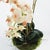 Contemporary Phalaenopsis 16" Mini Garden Drop-In For Sale - Image 3 of 8