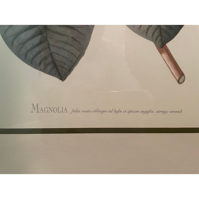 2000 - 2009 Gold Framed Magnolia Prints, a Pair For Sale - Image 5 of 10