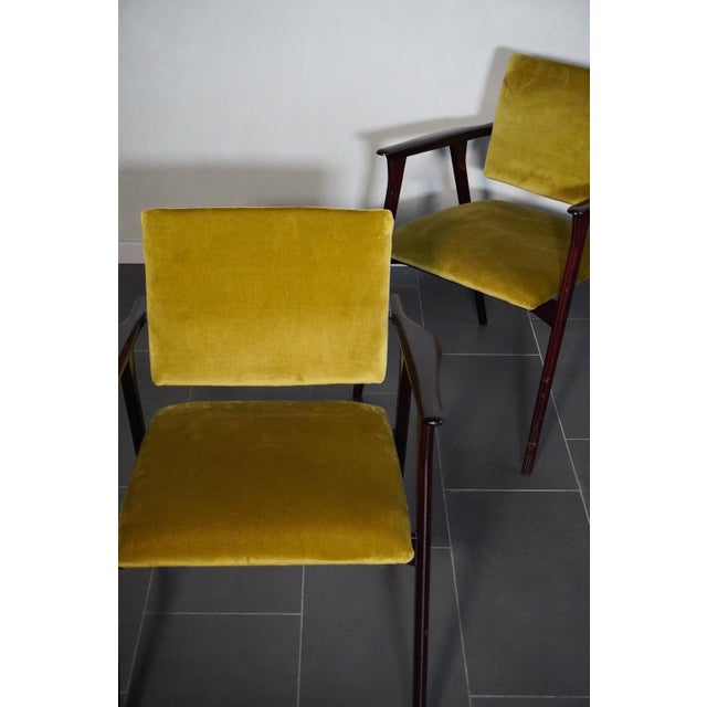 Maroon Luisa-Style Armchairs in Oil-Coloured Velvet by Franco Albini, 1950s, Set of 2 For Sale - Image 8 of 17