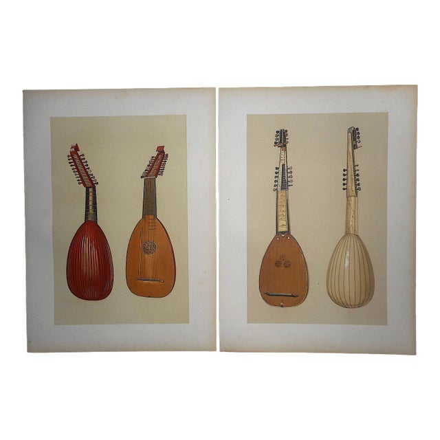 Antique Ltd. Ed. LithographsMusical String Instruments Lute & Theorbo
