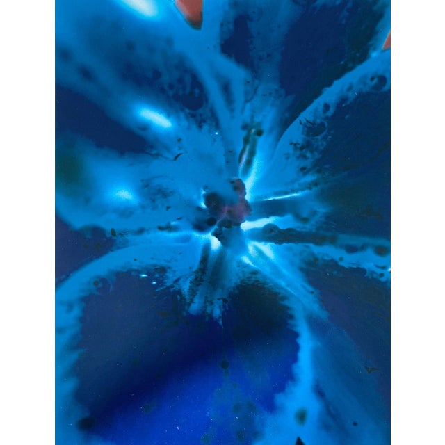 Contemporary Jeffrey Rothstein, Flora Fauna Series Vintage Color Photograph Abstract Flower Fuji Crystal Photo, c.1998 For Sale - Image 3 of 5