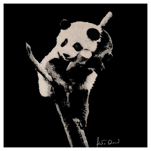 The Panda Rug by Roberta Diazzi For Sale