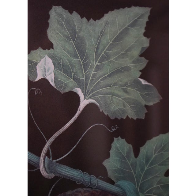 Pair of Fruit Prints by George Brookshaw For Sale - Image 9 of 15