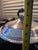 Mid 19th Century Vintage Fb Rogers Silver Co. #1158 Footed Casserole Dish For Sale - Image 5 of 9