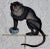 Tole Monkey with Chinese Export Bowl Towel Rack For Sale - Image 9 of 12