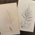 Framed Pair of Antique Sowerby Seaweed Prints | English Marine Botany For Sale - Image 12 of 12