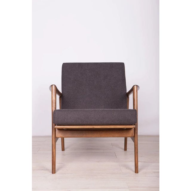 Mid-Century Modern Model 300-139 Armchair from Swarzędzka Factory, 1960s For Sale - Image 3 of 13