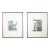19th C. Max Koch & Otto Rieth Nude Collotype Photographs c.1894 For Sale