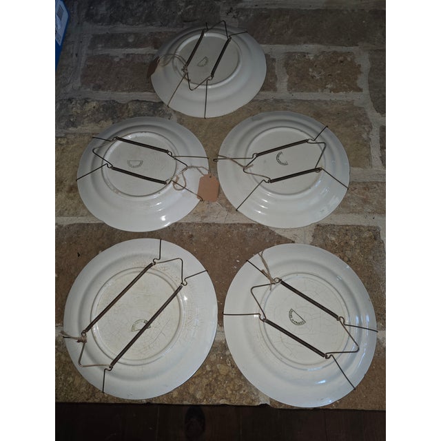 Collection of Antique French Majolica Plates For Sale - Image 10 of 11