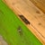 Wood Antique Pine Bench, 1920s For Sale - Image 7 of 18