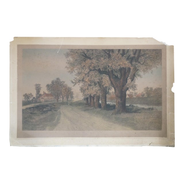 Antique Ernest C Rost the Old Elm Road Colored Country Landscape Etching 30" For Sale