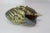 Seguso Murano Glass Sea Shell by Seguso Viro For Sale - Image 4 of 4