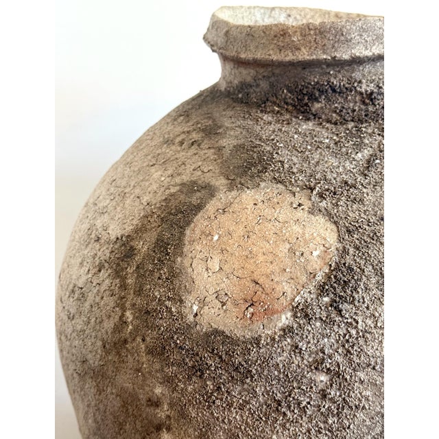 Large Japanese Contemporary Shigaraki Tsubo with Tomobako by Shiro Tsujimura For Sale - Image 9 of 18