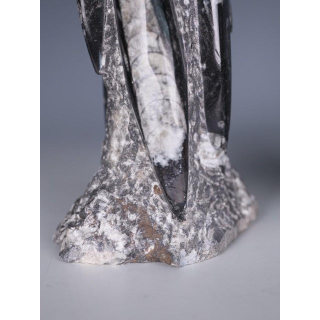 Black Hand-Carved Orthoceras Fossil Sculptures in Black Limestone, Morocco, Set of 2 For Sale - Image 8 of 15