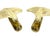 Organic Open-Work Leaf Wall Lamps from Banci Firenze, 1970s, Set of 2 For Sale - Image 10 of 14