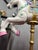 Aqua My Little Pony-Inspired Carousel Horse For Sale - Image 8 of 13