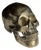 Early 20th Century Bronze Skull For Sale