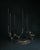 Omnia Vanitas Vanité 29 Candelabra in Patinated Cast Bronze by William Guillon For Sale - Image 11 of 12