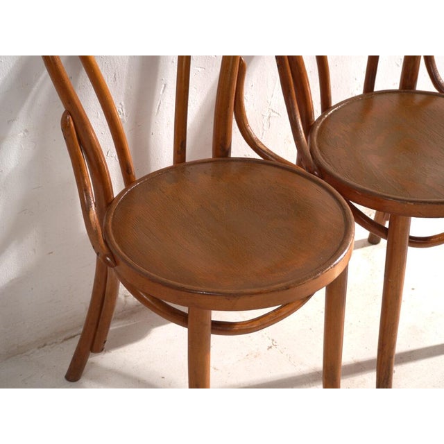 Chairs in Bentwood, Central Europe, 1930, Set of 2 For Sale - Image 4 of 14