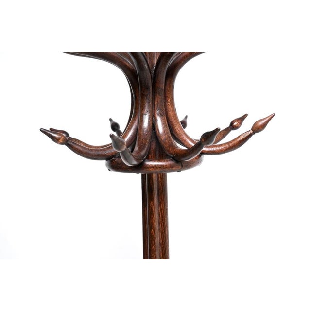 Late 19th Century Antique Victorian Bentwood Coat Rack, 1880s For Sale - Image 5 of 10