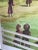 Vintage Framed Signed Print Children Playing Outside "Amish Happier Days" For Sale - Image 11 of 11