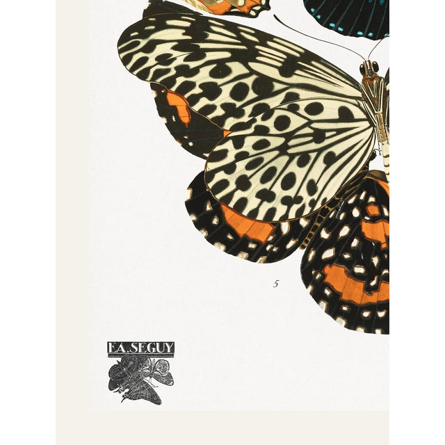 Butterflies (E. A. Séguy), Vintage Art Print Reproduction, 18" × 24" For Sale - Image 4 of 6