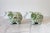 Late 20th Century Vintage Green and White Ceramic Elephant Banks - Andrea by Sadek For Sale - Image 5 of 9