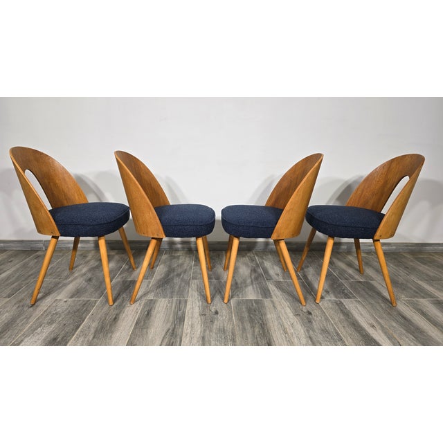 Set of Dining Chairs by Antonin Suman, 1960s, in Restored conditions. Designed 1960 to 1969 I have official proof of...
