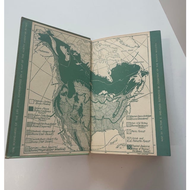 Illustration 1940s Audubon Bird Guide Eastern Land Birds, a Book For Sale - Image 3 of 3