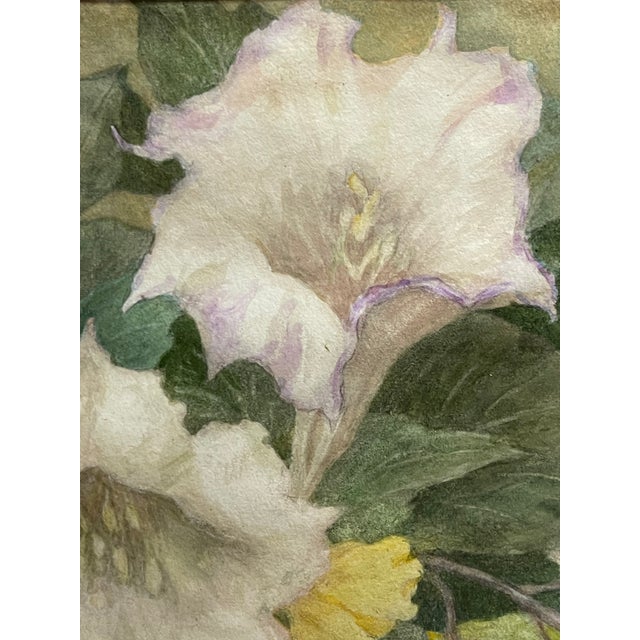 1920s A Watercolor Still Life Bouquet Painting on Paper by Bailey Brownie For Sale - Image 5 of 10