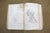 Antique 1878 Grays Anatomy Descriptive Surgical Medical Book Henry C Lea Leather For Sale - Image 13 of 16