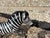 1960s Italian Glazed Terracotta Zebra Sculpture For Sale - Image 6 of 12