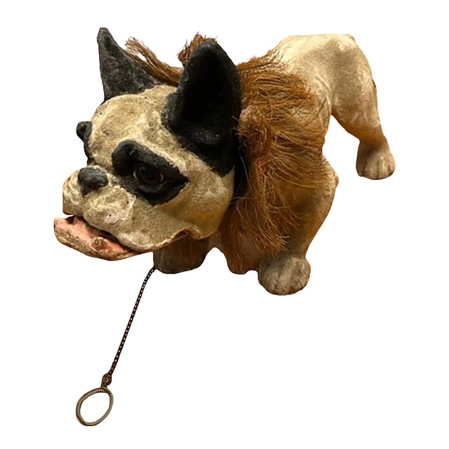 1900 - 1909 Papier-Mâché French Growler Bulldog For Sale