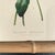 Framed Antique Chromolithographs Set of 7 From "Wild Flowers of America", Series II Volume Ii, L. Prang & Co., Boston (C. 1879) For Sale - Image 9 of 18